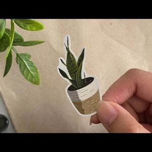 3/$20 Vinyl Glossy Stickers | Snake Plant Sticker |